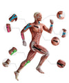 Kinesiotapes - Kinesiology Support Tapes for Joint Stability and Sport Injury